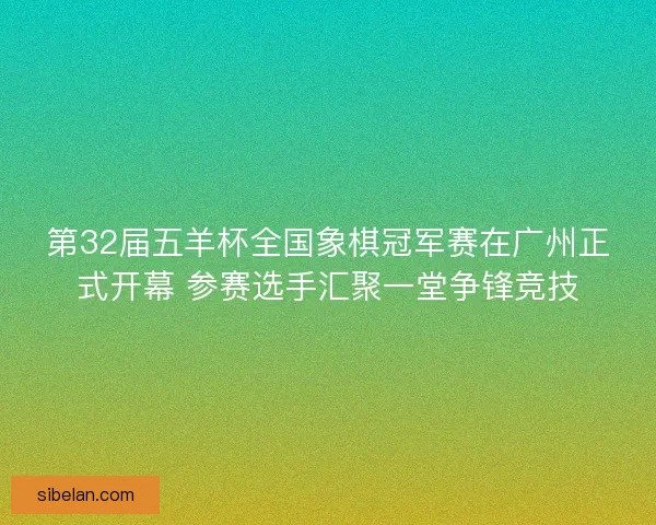 第32届五羊杯全国象棋冠军赛在广州正式开幕 参赛选手汇聚一堂争锋竞技