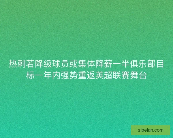 热刺若降级球员或集体降薪一半俱乐部目标一年内强势重返英超联赛舞台