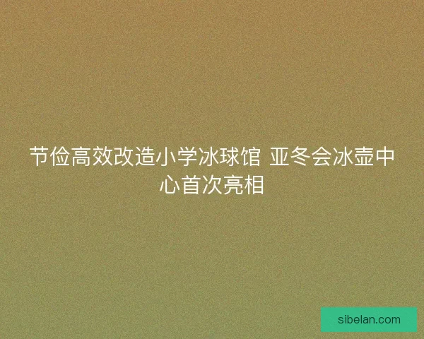 节俭高效改造小学冰球馆 亚冬会冰壶中心首次亮相