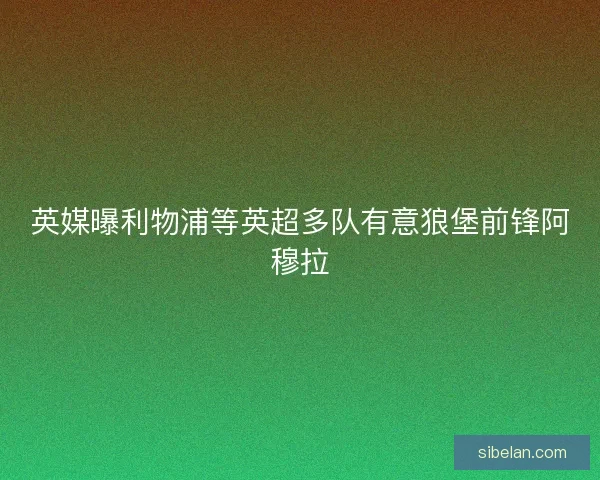 英媒曝利物浦等英超多队有意狼堡前锋阿穆拉